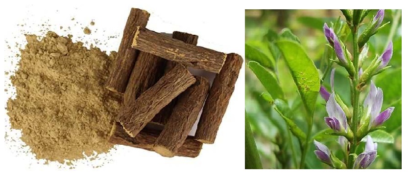 मुलेठी (यष्टिमधु)