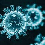 Corona Virus या Covid -19