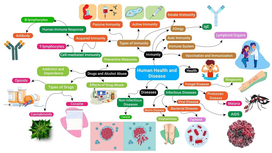 Disease according to Various Medical Practices