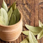 भारतीय तेजपत्ता (Indian Bay Leaf)