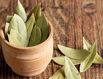 भारतीय तेजपत्ता (Indian Bay Leaf)