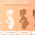 Early Pregnancy Problems "गर्भावस्था के प्रारंभिक लक्षण" की पहचान