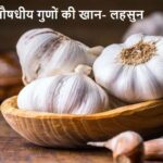 Garlic (लहसुन)