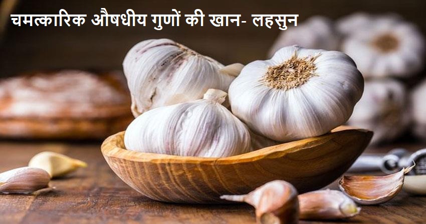 Garlic (लहसुन)